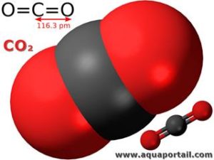 CO2 ni ikinyabutabare kigizwe n'ihuzwa rya Carbone imwe na oxygene 2